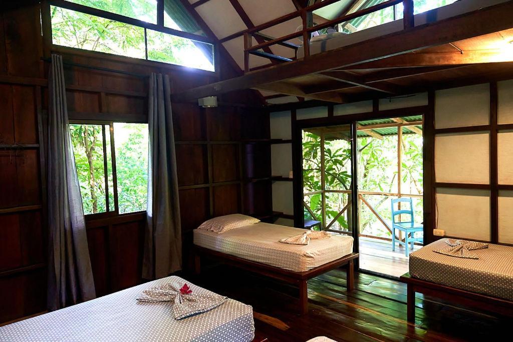Luz En El Cielo Eco-B&B/Hostel Montezuma Ngoại thất bức ảnh