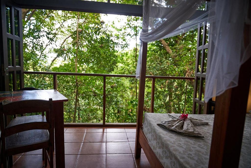 Luz En El Cielo Eco-B&B/Hostel Montezuma Ngoại thất bức ảnh