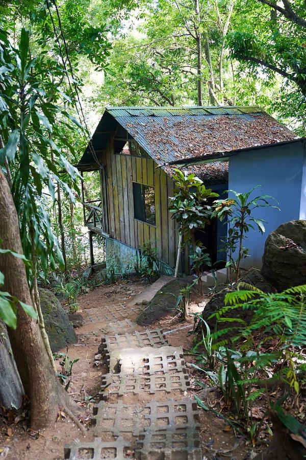 Luz En El Cielo Eco-B&B/Hostel Montezuma Ngoại thất bức ảnh
