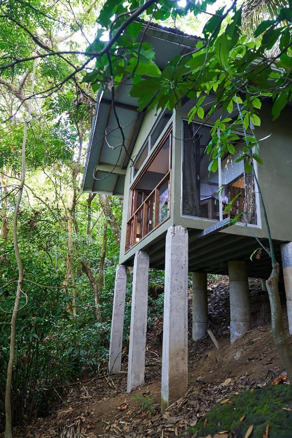 Luz En El Cielo Eco-B&B/Hostel Montezuma Ngoại thất bức ảnh