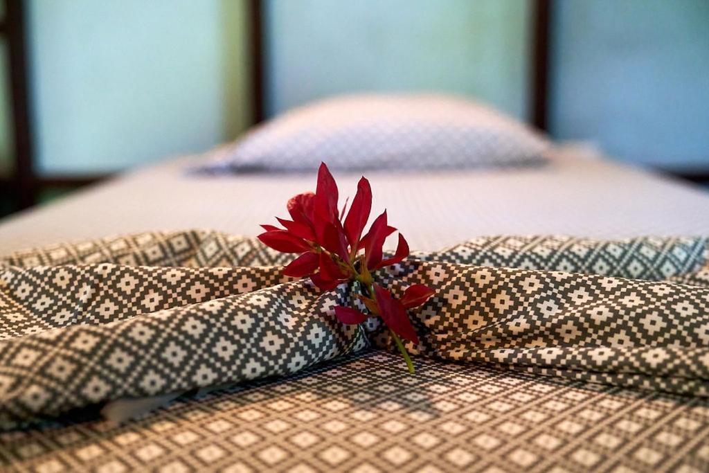 Luz En El Cielo Eco-B&B/Hostel Montezuma Ngoại thất bức ảnh