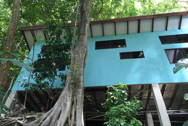 Luz En El Cielo Eco-B&B/Hostel Montezuma Phòng bức ảnh