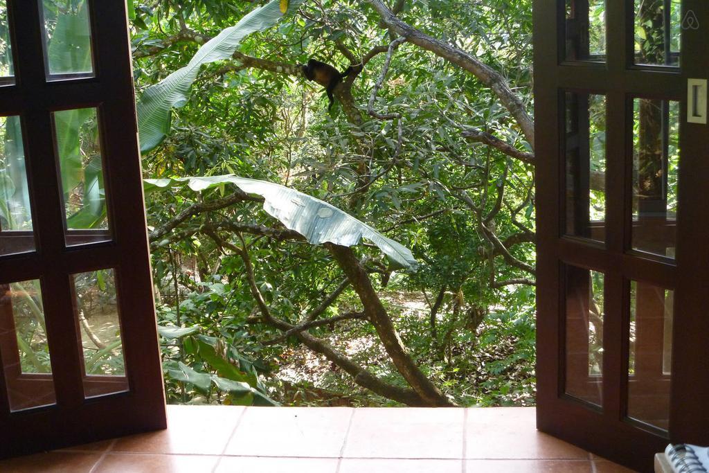 Luz En El Cielo Eco-B&B/Hostel Montezuma Phòng bức ảnh