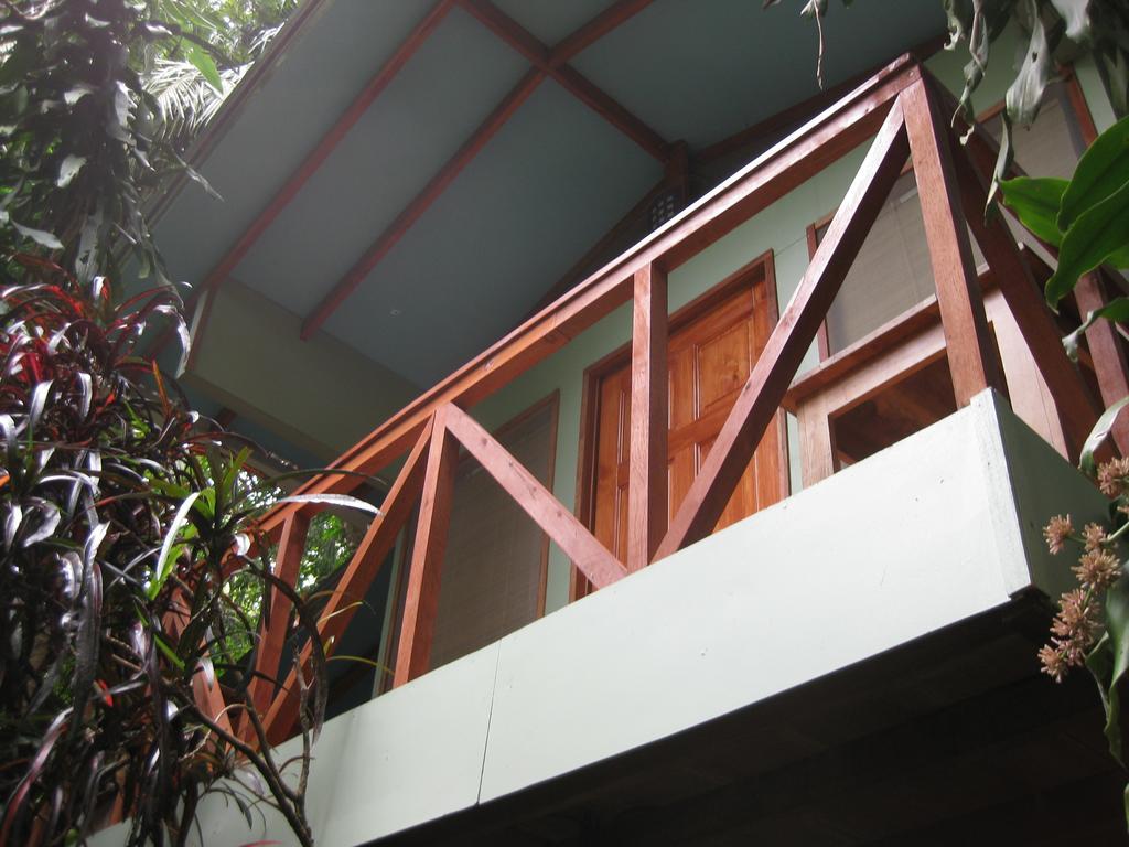 Luz En El Cielo Eco-B&B/Hostel Montezuma Phòng bức ảnh