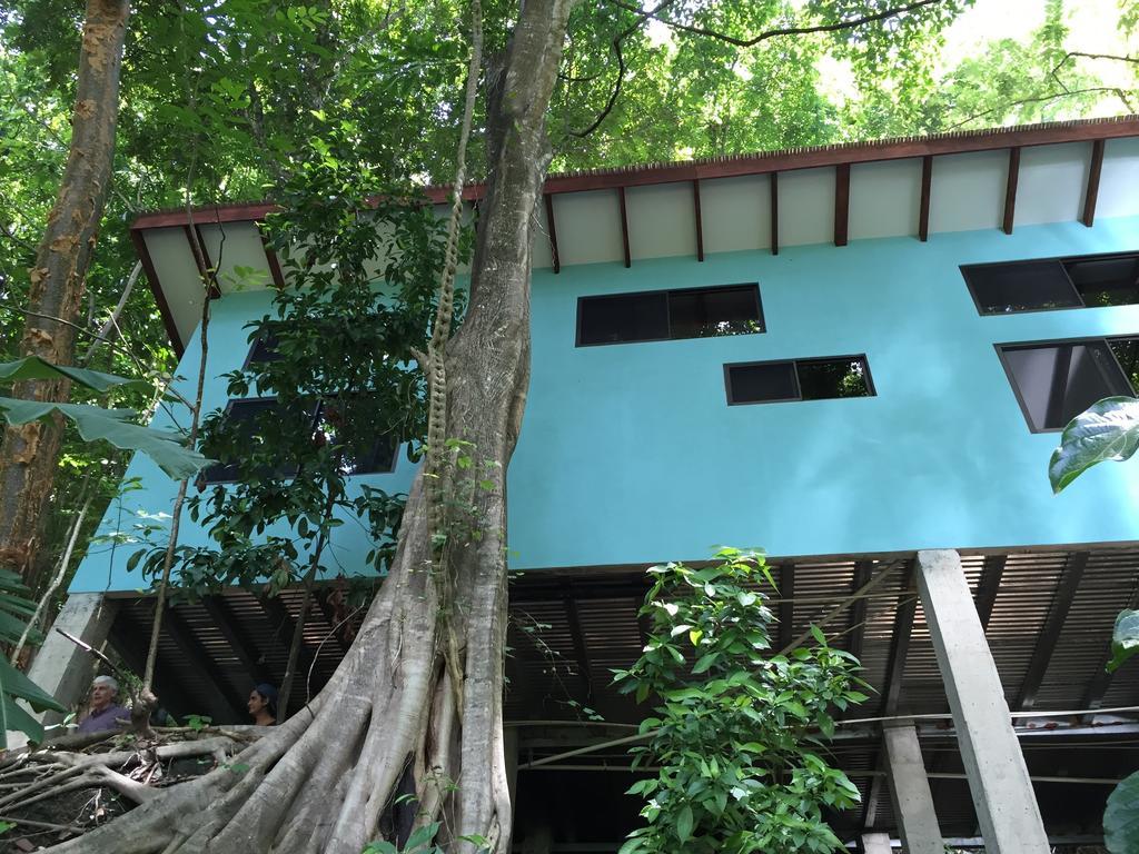 Luz En El Cielo Eco-B&B/Hostel Montezuma Phòng bức ảnh